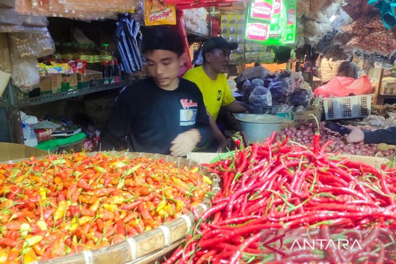 Harga cabai di pasar Cianjur masih tinggi karena panen minim