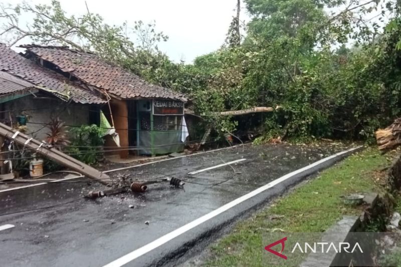 Jalur penghubung selatan Cianjur putus akibat pohon tumbang, petugas langsung tangani