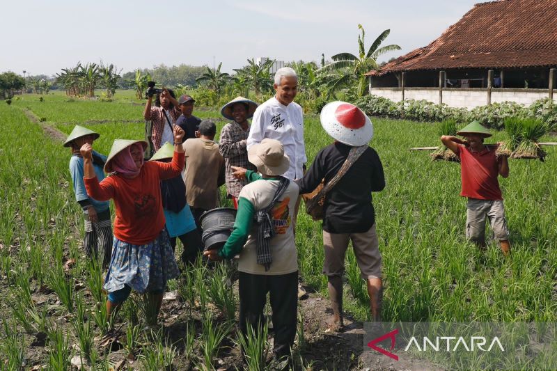 Ini kata KPU DKI bagi pemilih sebelum ke TPS pada Rabu