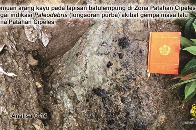 Badan Geologi temukan arang kayu purba saat selidiki gempa di Sumedang