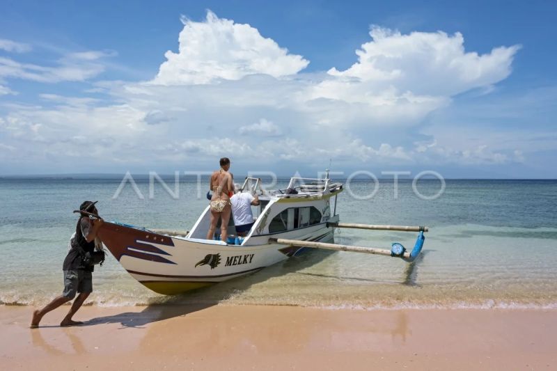 Wisata Pantai Pink di Lombok