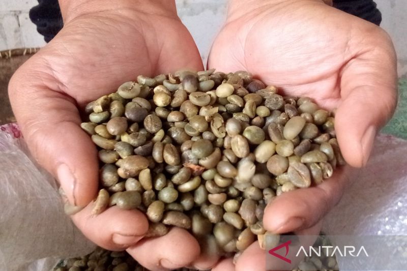 Pemkab Kuningan bukukan produksi kopi capai 496,88 ton pada 2023