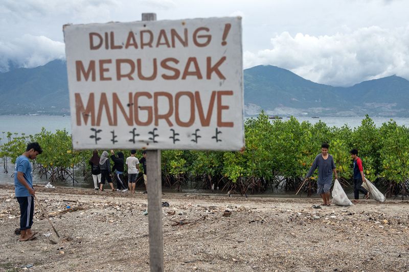 Pembersihan pantai di kawasan konservasi mangrove