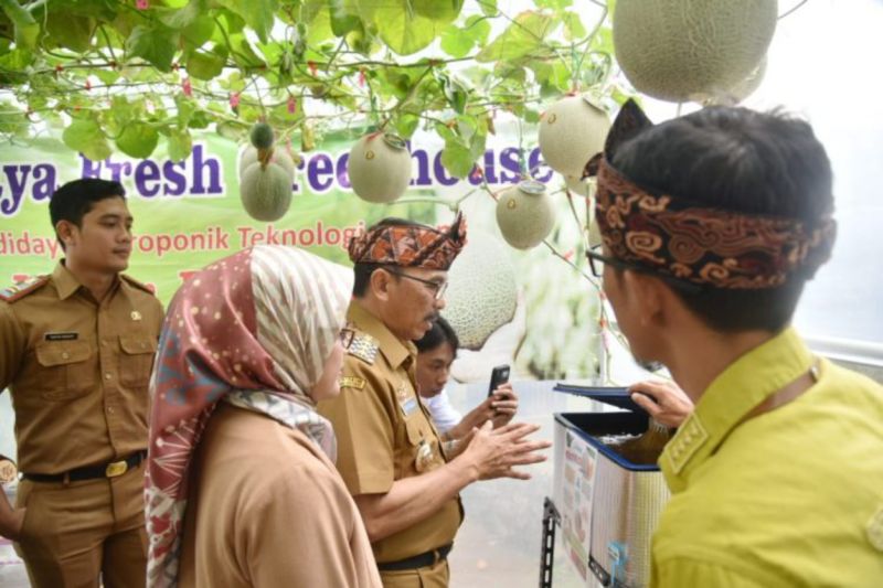 Petani muda Kuningan hasilkan melon premium untuk pasar lokal