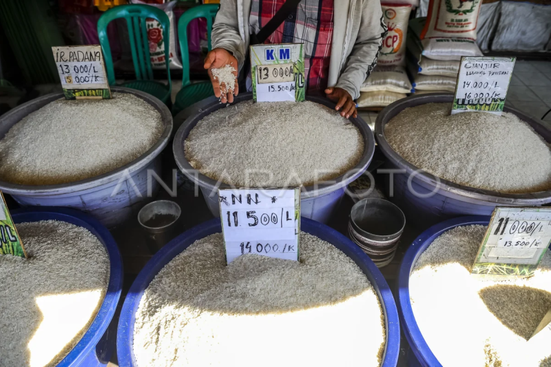 Kenaikan harga beras di Banten