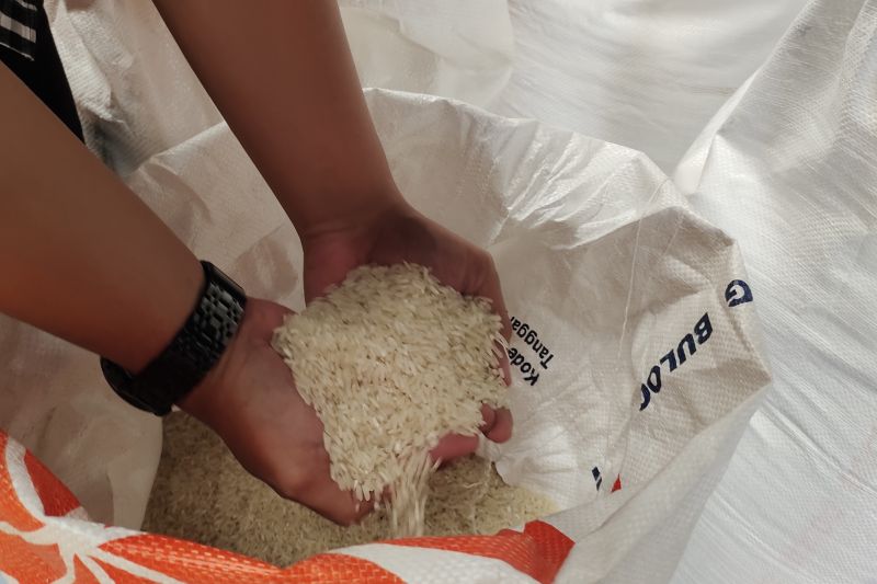 Kemarin, faktor tingginya harga beras sampai detil kenaikan gaji ASN