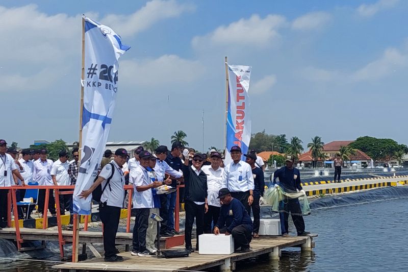 KKP memodifikasi tambak udang tak berproduksi jadi tambak nila salin di Karawang