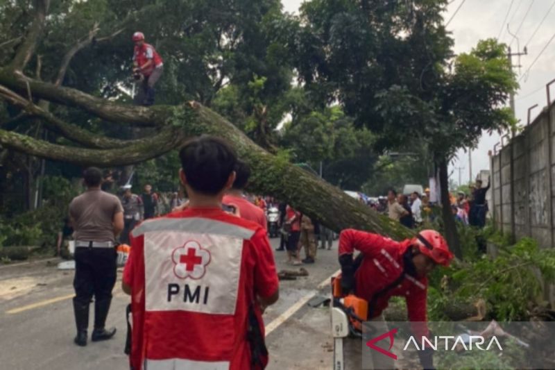 BPBD Cianjur masih terapkan status siaga bencana alam di seluruh wilayah