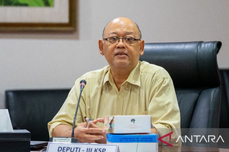 KSP: Pemerintah tak naikkan HET beras karena berpotensi dorong harga