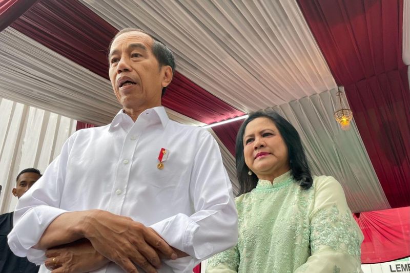 Presiden Jokowi: Kenaikan harga beras disebabkan gangguan distribusi