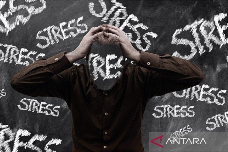 Psikolog sebut kelola stres setiap hari untuk redakan emosi