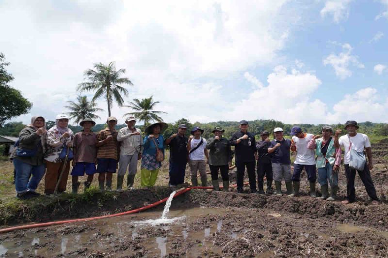Kementerian Pertanian bantu percepatan tanam sawah bera di Sumedang dan Subang