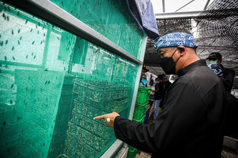 125 kelurahan di Kota Bandung olah sampah organik dengan maggot