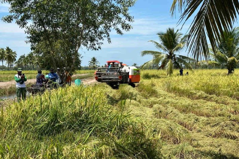 Kementan pastikan produksi beras nasional aman jelang Ramadhan