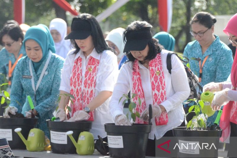 TP PKK Bogor imbau warga tanam cabai di halaman rumah