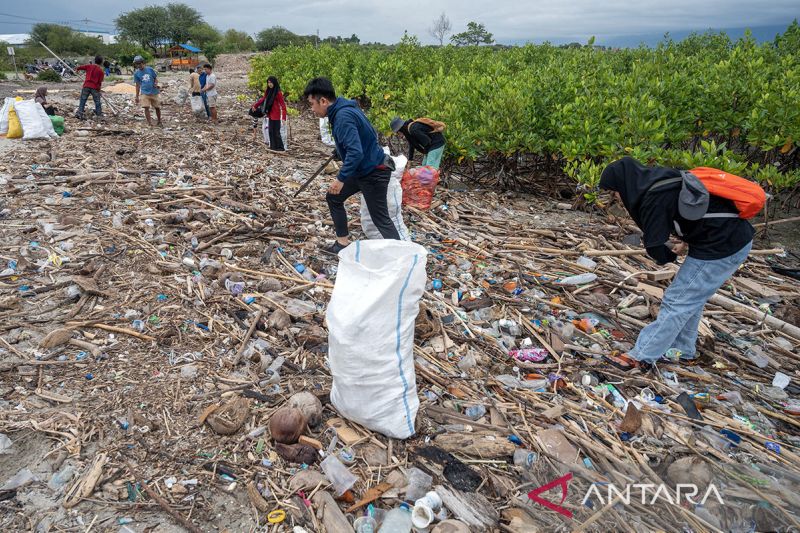 Penumpukan sampah kiriman di Pantai Dupa Palu