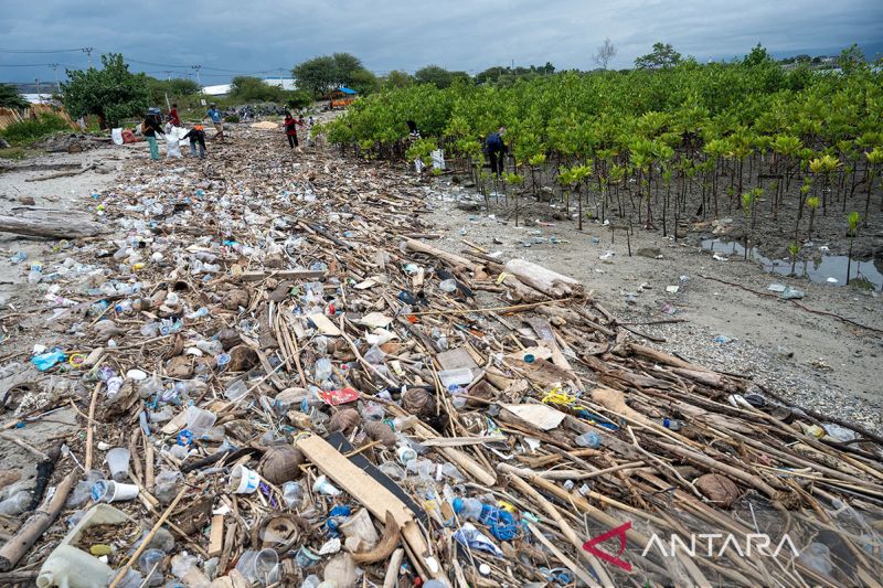 Penumpukan sampah kiriman di Pantai Dupa Palu