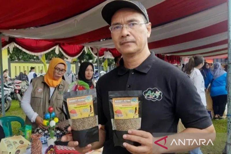 Budidaya maggot Mangunjaya Bekasi bantu atasi sampah