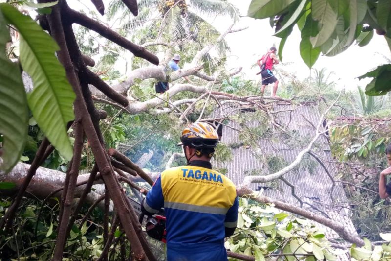 Tagana Tasikmalaya terus pantau kawasan yang terdampak angin kencang