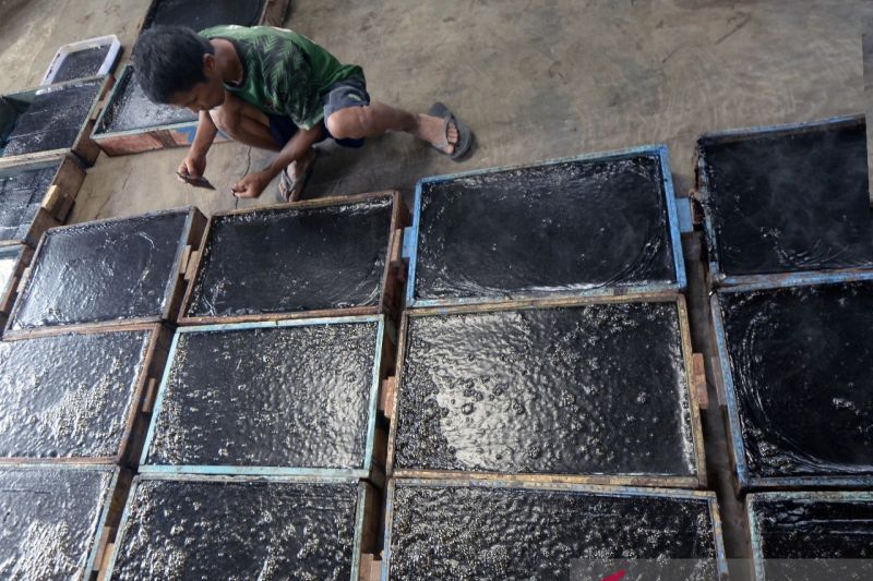 Produksi cincau hitam saat Ramadhan