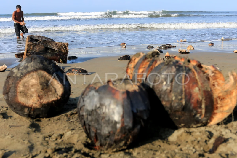 Kelapa bakar sajian khas Ramadhan di Aceh Barat