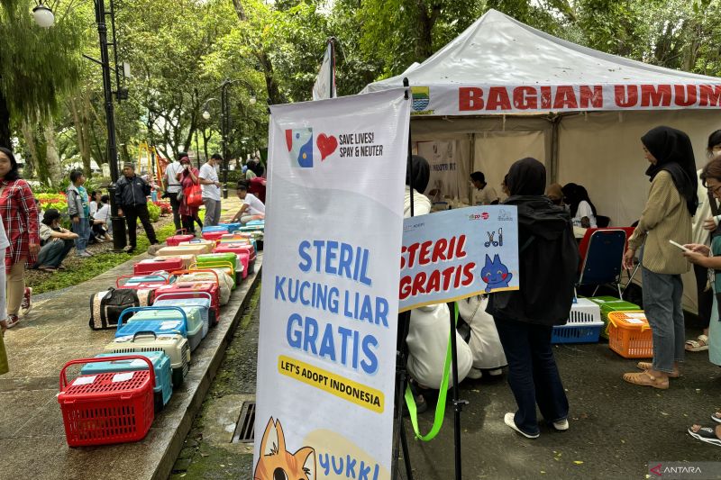 DKPP Kota Bandung beri layanan vaksin rabies dan sterilisasi gratis