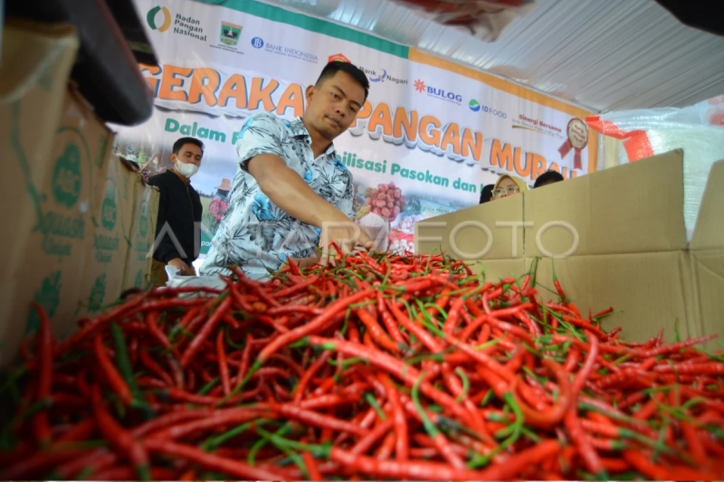 Pasar murah komoditas cabai merah di Padang