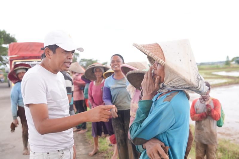 Buruh tani Karawang diupah kecil