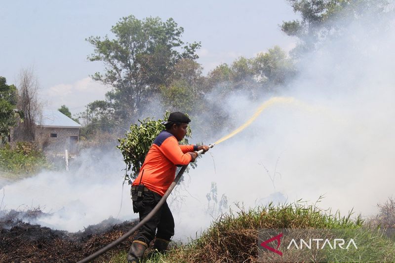 Tiga Kabupaten Di Riau Tetapkan Siaga Darurat Karhutla - ANTARA News