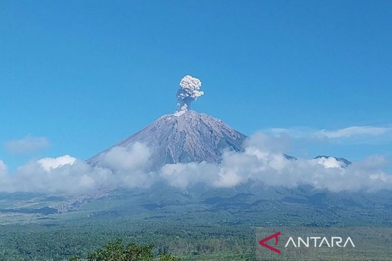 Gunung Semeru erupsi dengan letusan abu vulkanik setinggi 600 meter