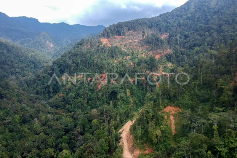 Deforestasi hutan Sumatera Barat