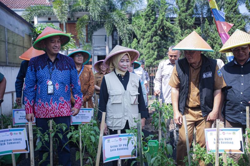 Kota Bandung bagikan 16.000 bibit cabai untuk cegah inflasi