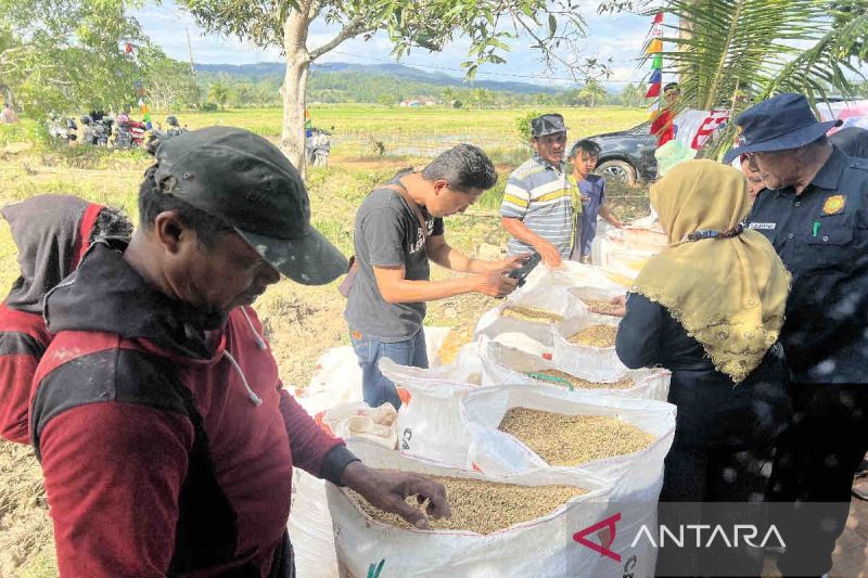 HKTI mengusulkan HPP gabah di tingkat petani naik menjadi Rp6.757 per kg