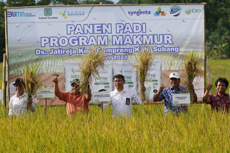 Petani program Makmur di Subang berhasil tingkatkan produktivitas padi