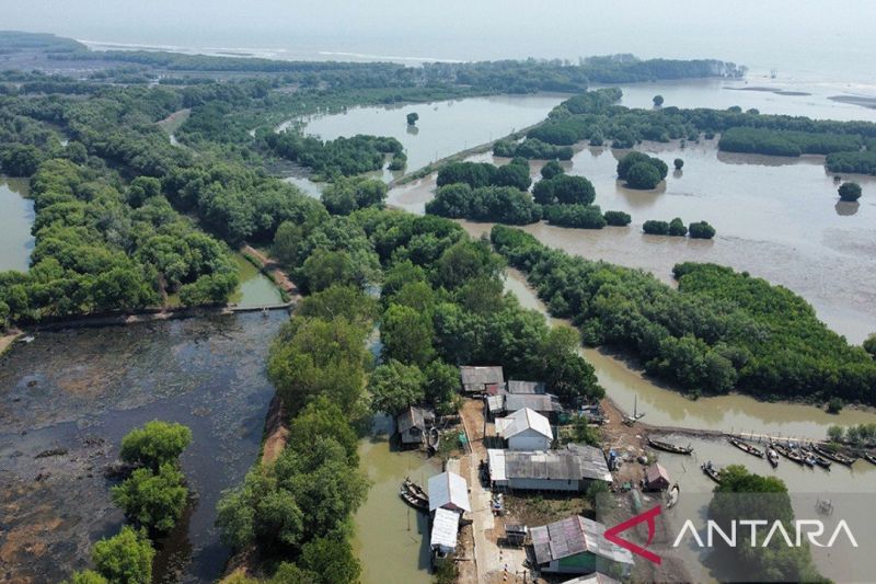 Pengembangan wilayah Muaragembong dibutuhkan intervensi Pemerintah Pusat