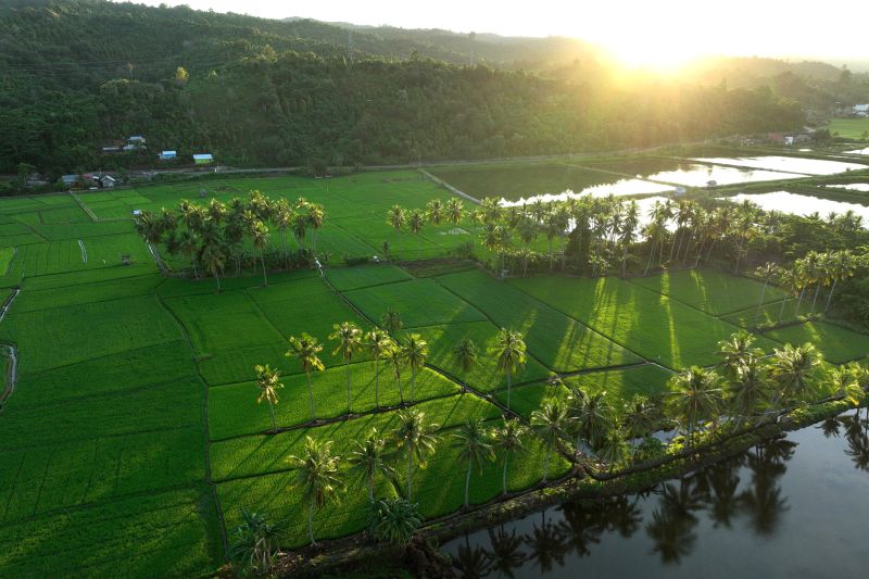 Wisata Pulau Padamarang dan Pantai Shaka di Kolaka