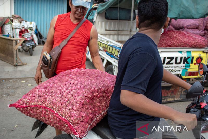 Harga bawang merah di Palu mulai turun