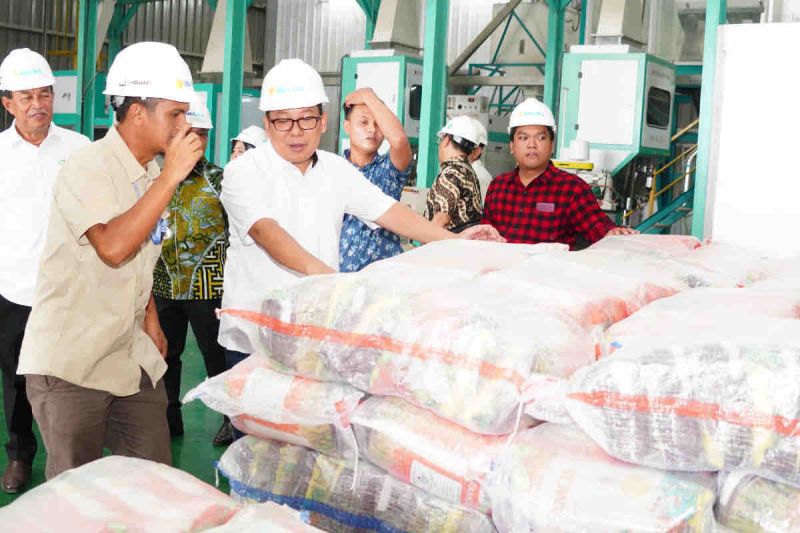 Bulog diminta perkuat penyerapan gabah petani di Karawang