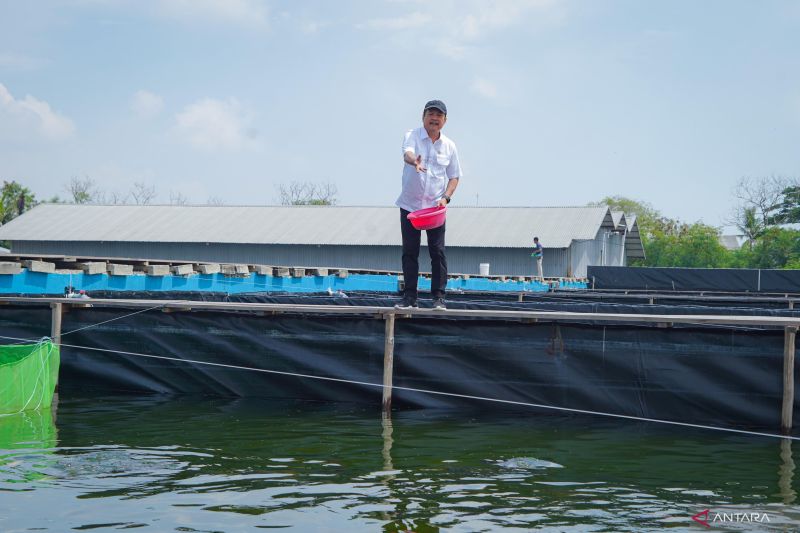 Dekan FPIK Universitas Padjdjaran: Budi daya di laut jadi masa depan perikanan Indonesia