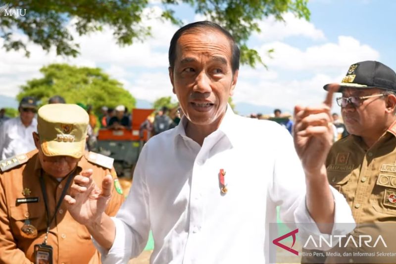 Presiden tekankan pentingnya produktivitas jagung di Sumbawa meningkat