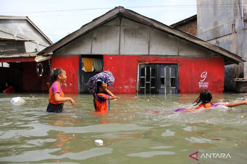 Banjir rob merendam kawasan Medan Utara