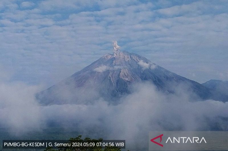 Gunung Semeru Tiga Kali Erupsi Pada Kamis - ANTARA News