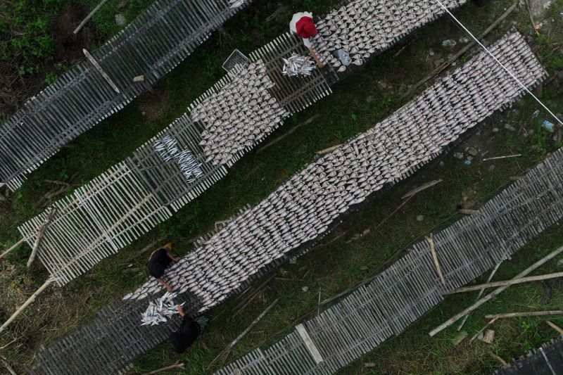 Harga ikan asin naik di Bombana