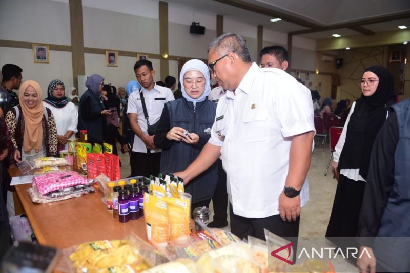 Pemkab Sukabumi luncurkan Program UMKM Naik Kelas
