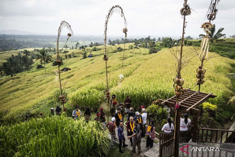 Partisipan World Water Forum kunjungi warisan budaya dunia Jatiluwih Bali