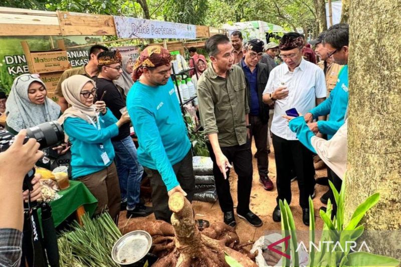 Pasar Pasisian Leuweung di hutan kota Tamansari tingkatkan kesejahteraan petani Bekasi