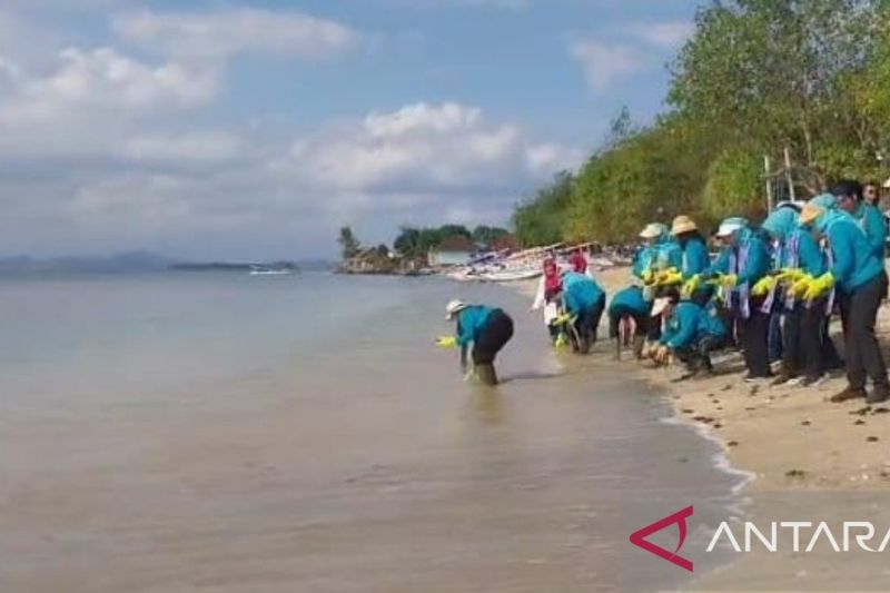 Ibu Negara melepas ratusan tukik di Pantai Elak-Elak Lombok