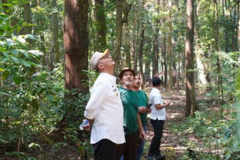 Pj Bupati Subang ajak masyarakat jaga kawasan hutan kota Ranggawulung