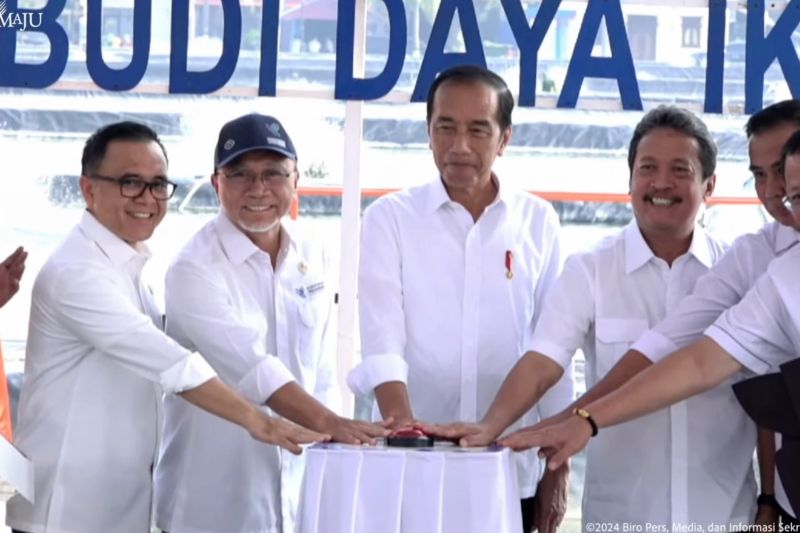 Jokowi resmikan tambak ikan nila di Karawang