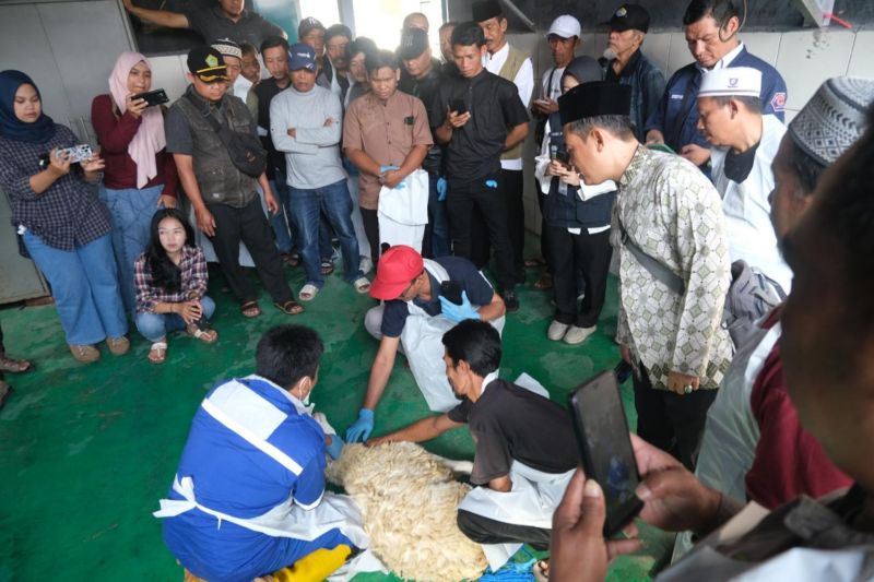 Garut siapkan juru sembelih halal untuk pelaksanaan kurban